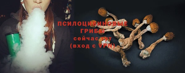 мет Галич