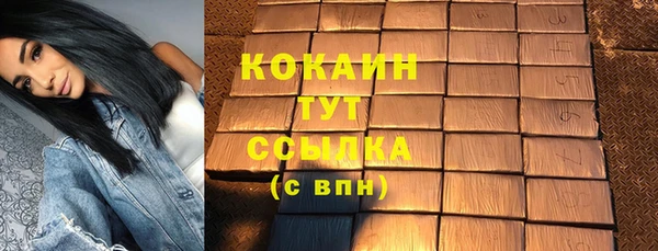 дживик Нязепетровск
