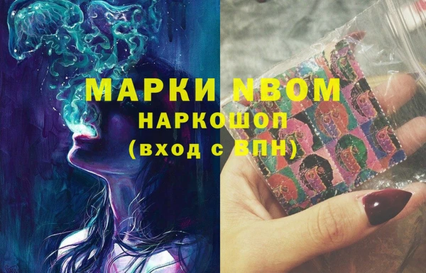спайс Няндома