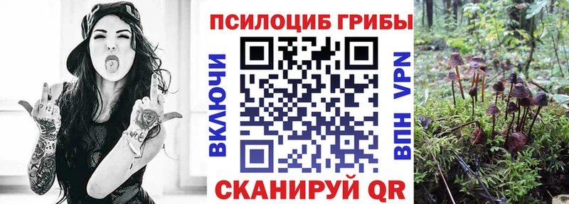 Галлюциногенные грибы ЛСД  наркота  Арск 